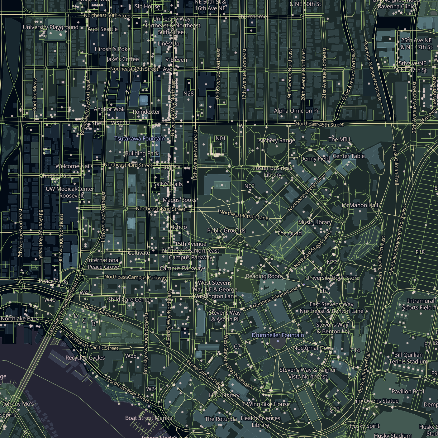 a high zoom tile, showing University of Washington campus