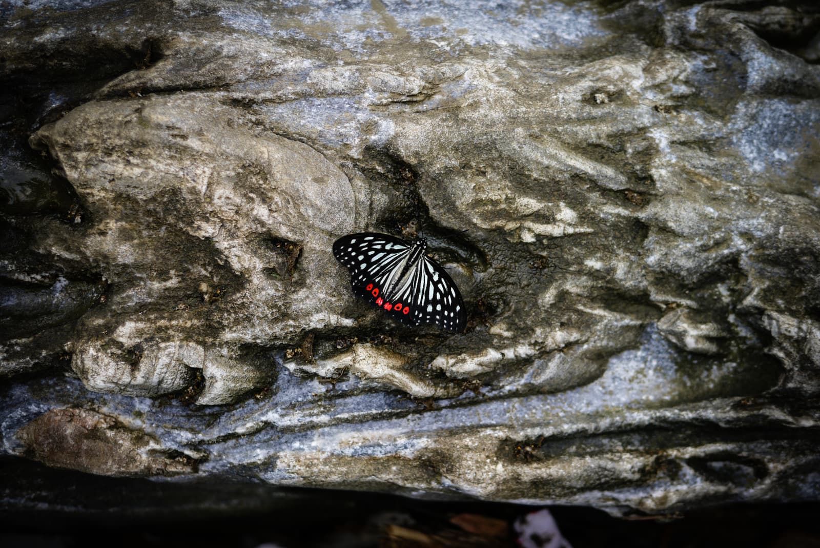Sa Pa, Lào Cai Province, Vietnam