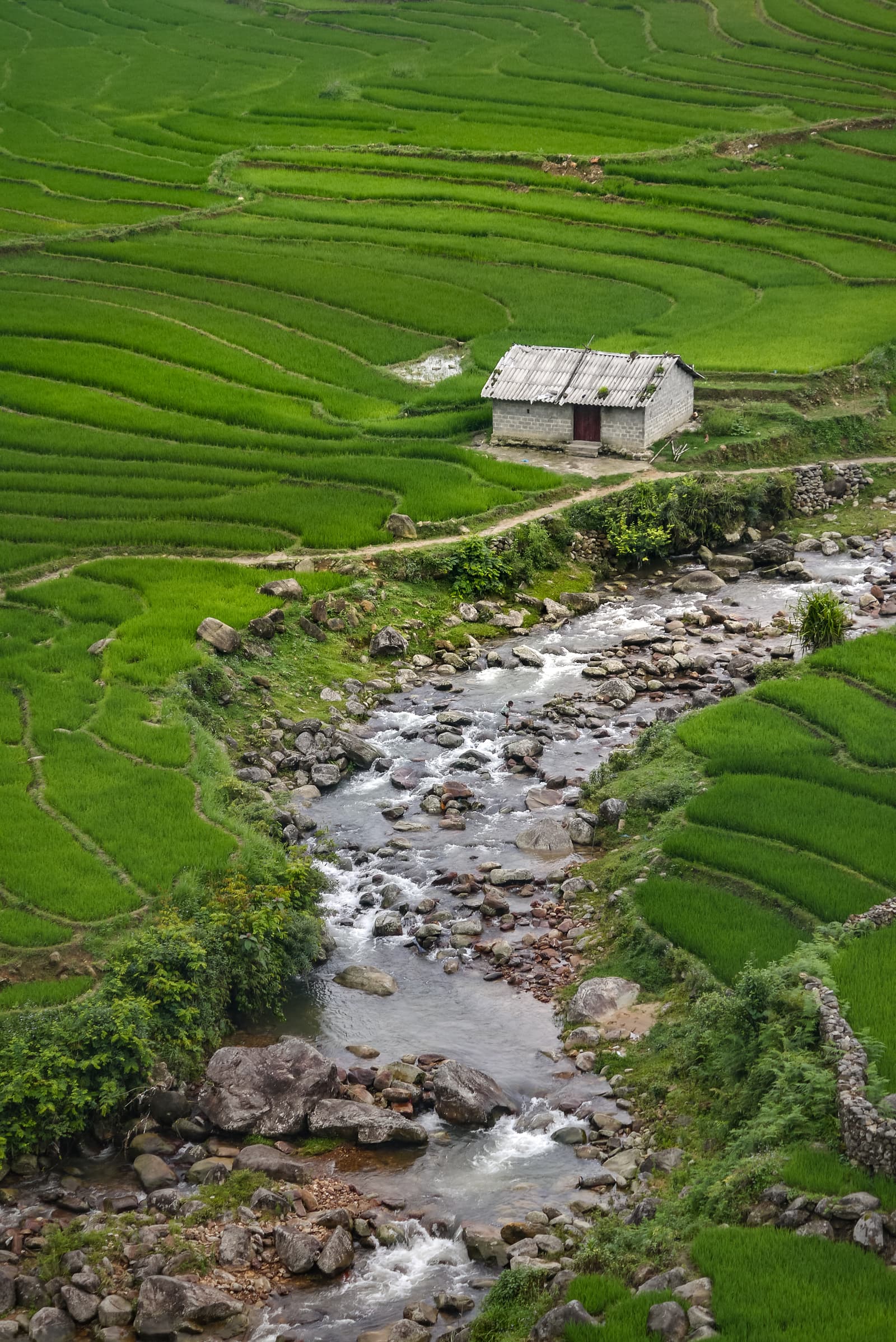 Sa Pa, Lào Cai Province, Vietnam