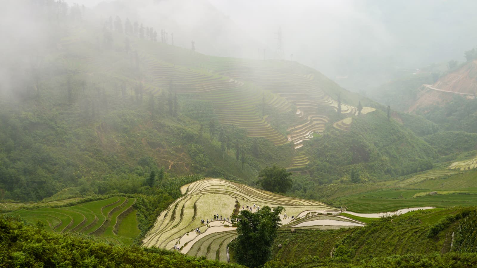 Sa Pa, Lào Cai Province, Vietnam