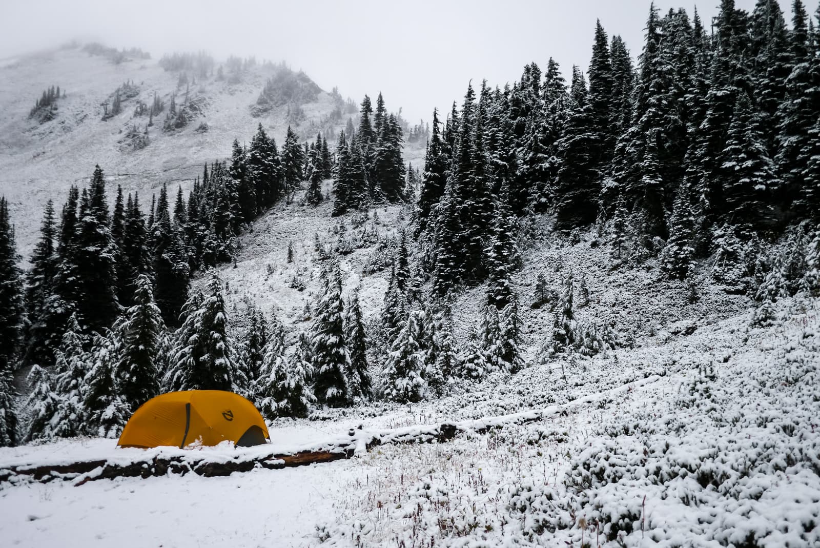 White Pass, Glacier Peak Wilderness, Washington, United States