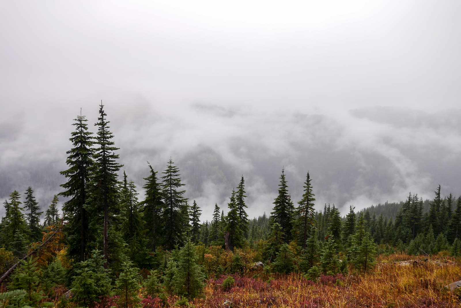 White Pass, Glacier Peak Wilderness, Washington, United States