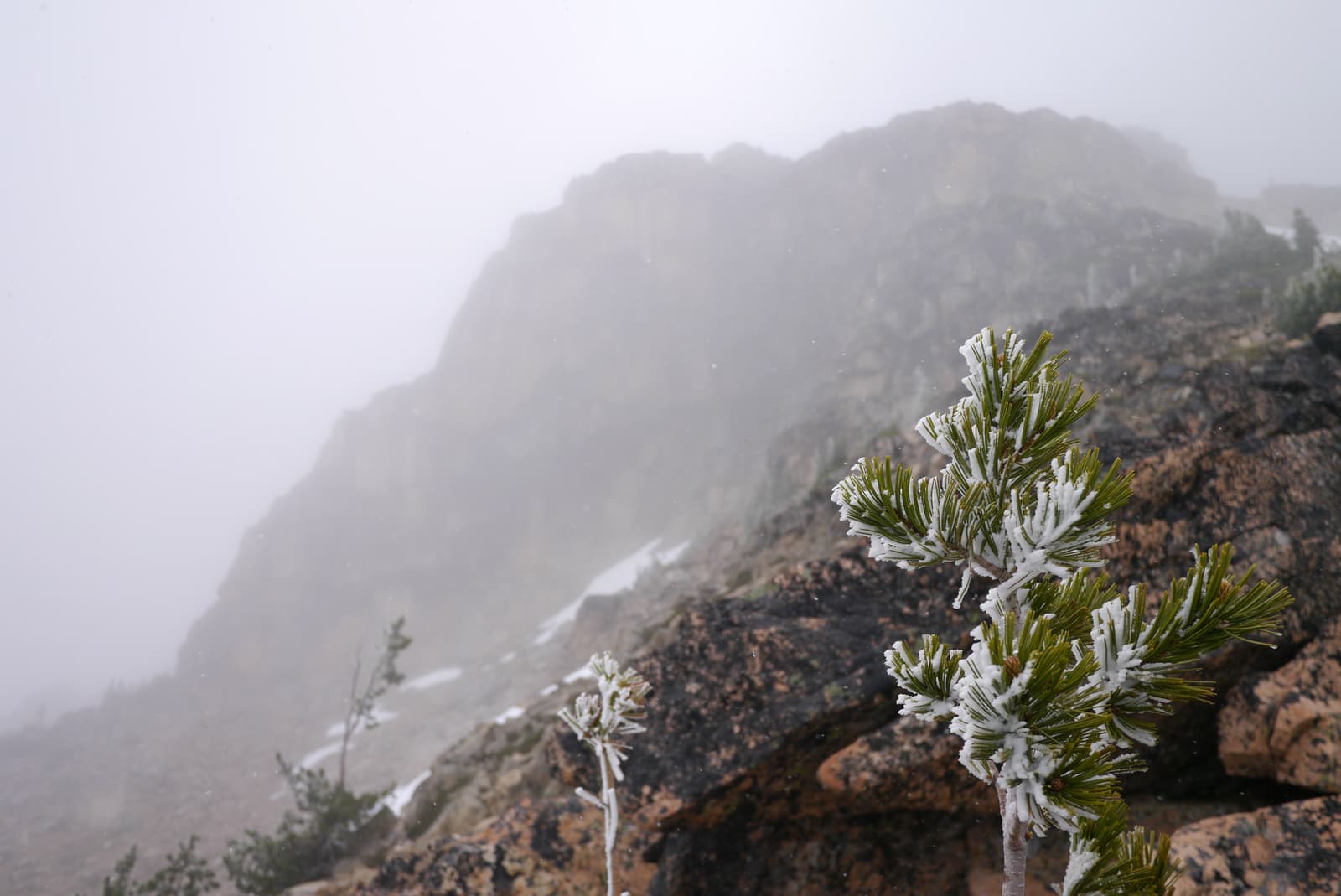 Mount Hardy, North Cascades, Washington, United States