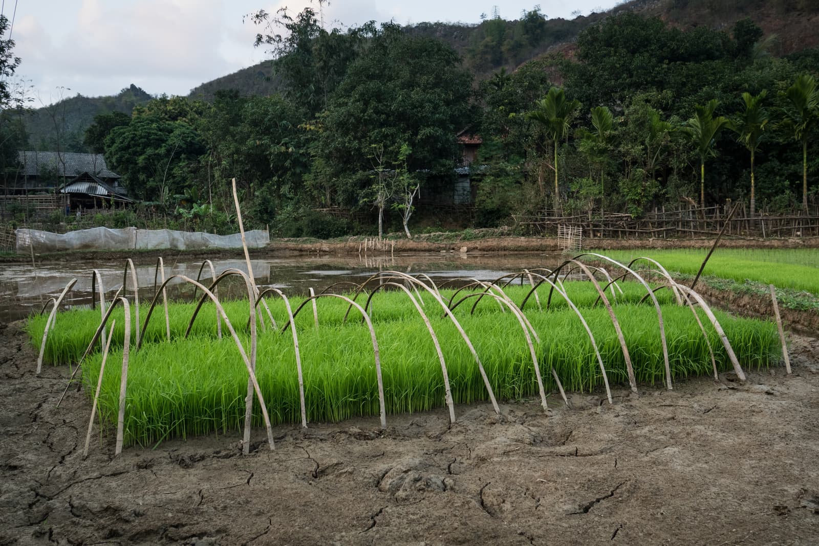 Mai Châu, Hòa Bình Province, Vietnam