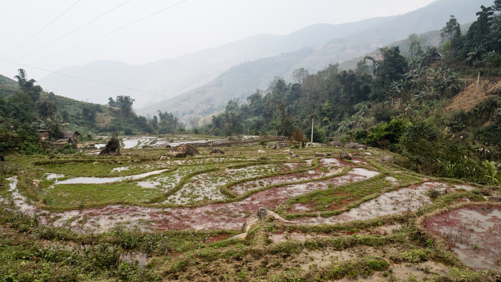 Suối Thầu, Lào Cai Province, Vietnam
