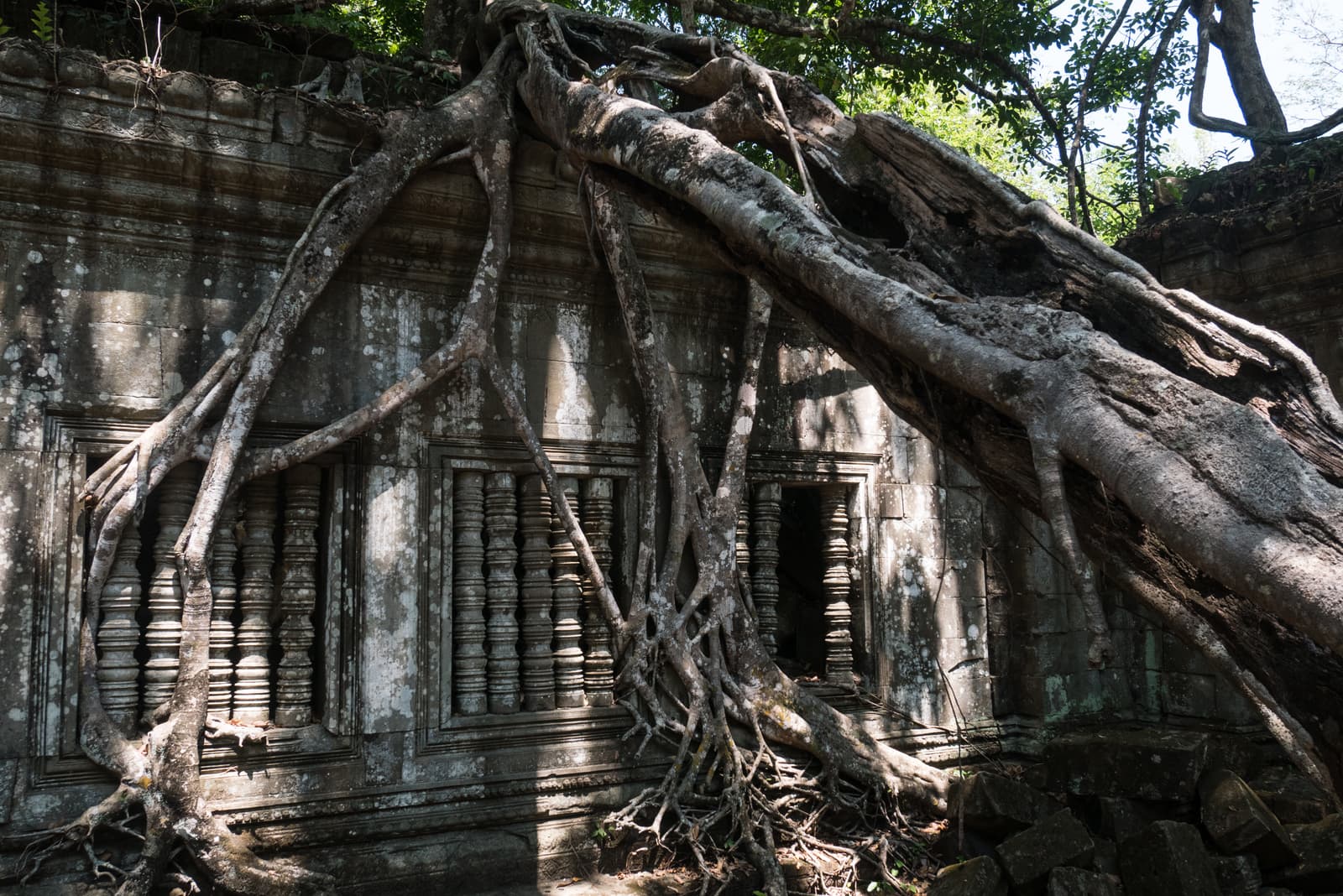 Beng Mealea, Angkor Archaeological Park, Siem Reap Province, Cambodia