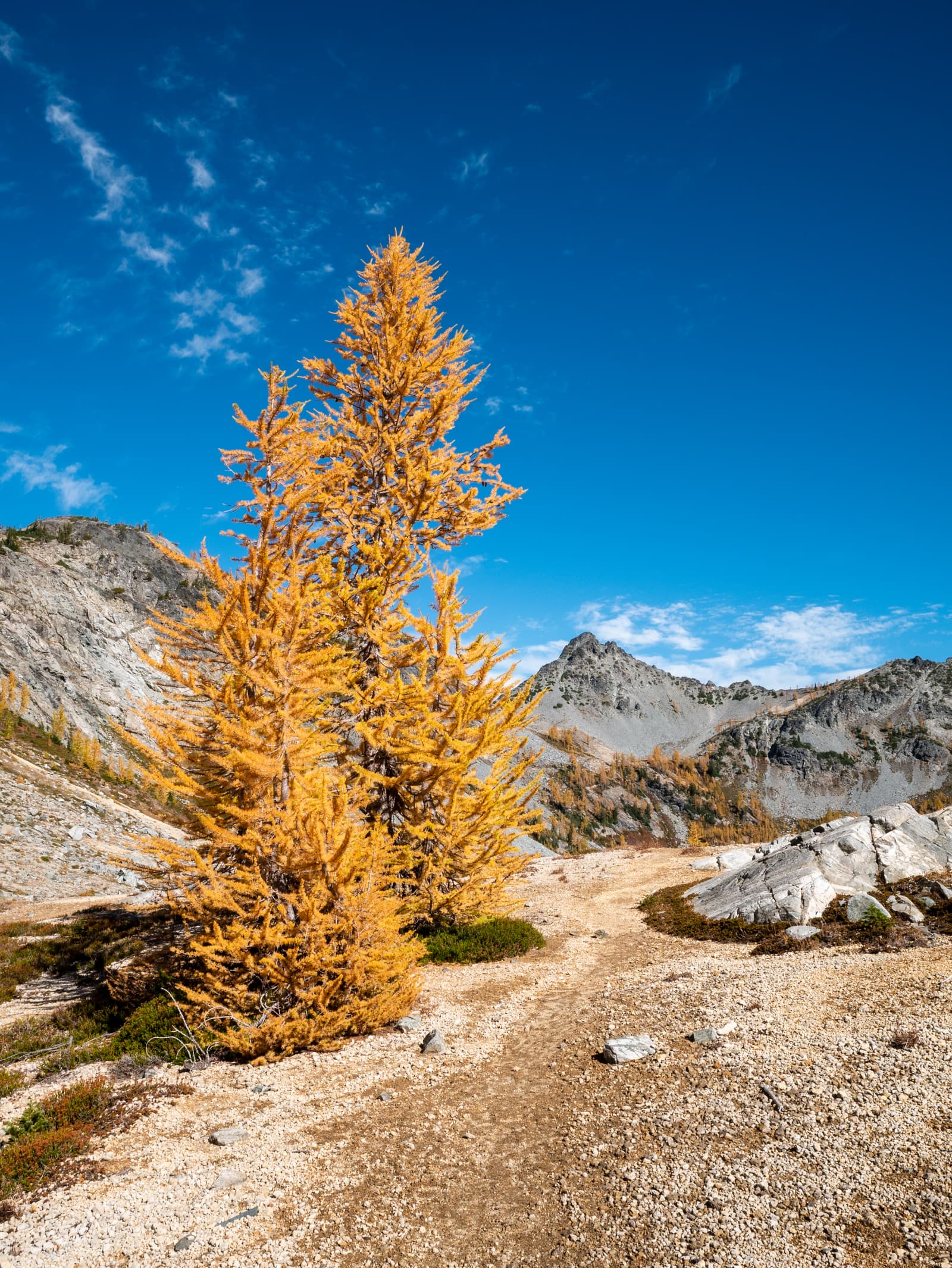 Ice Lakes, Entiat Range, Washington, United States